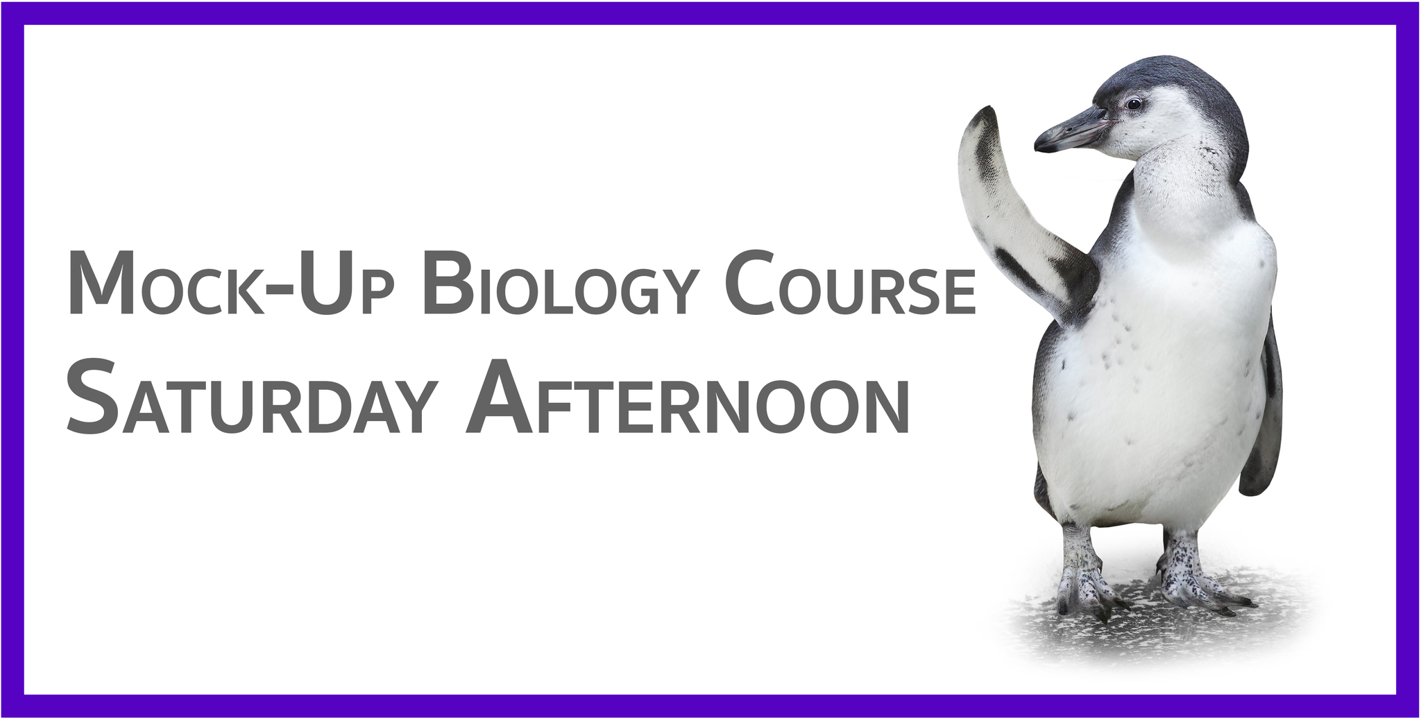 Biooui | Mock-Up Biology 2021 [Saturday Afternoon]