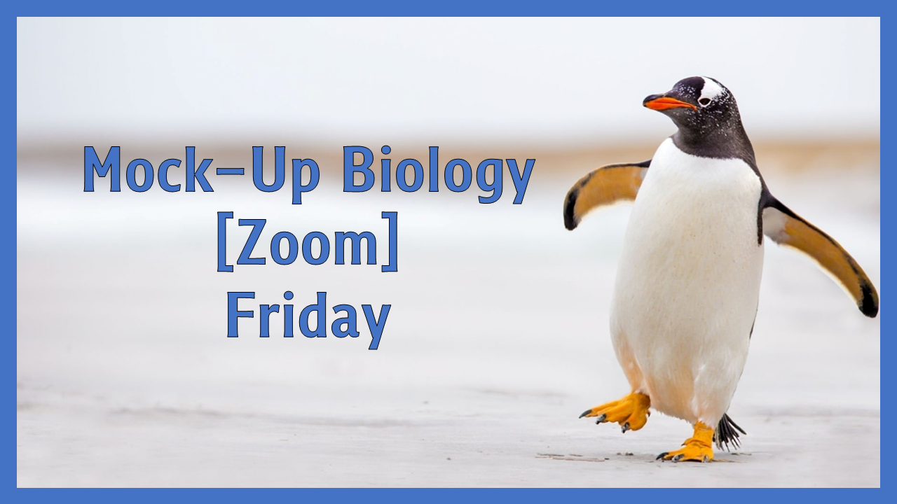 Biooui | Mock-Up Biology [Friday Zoom] 2023